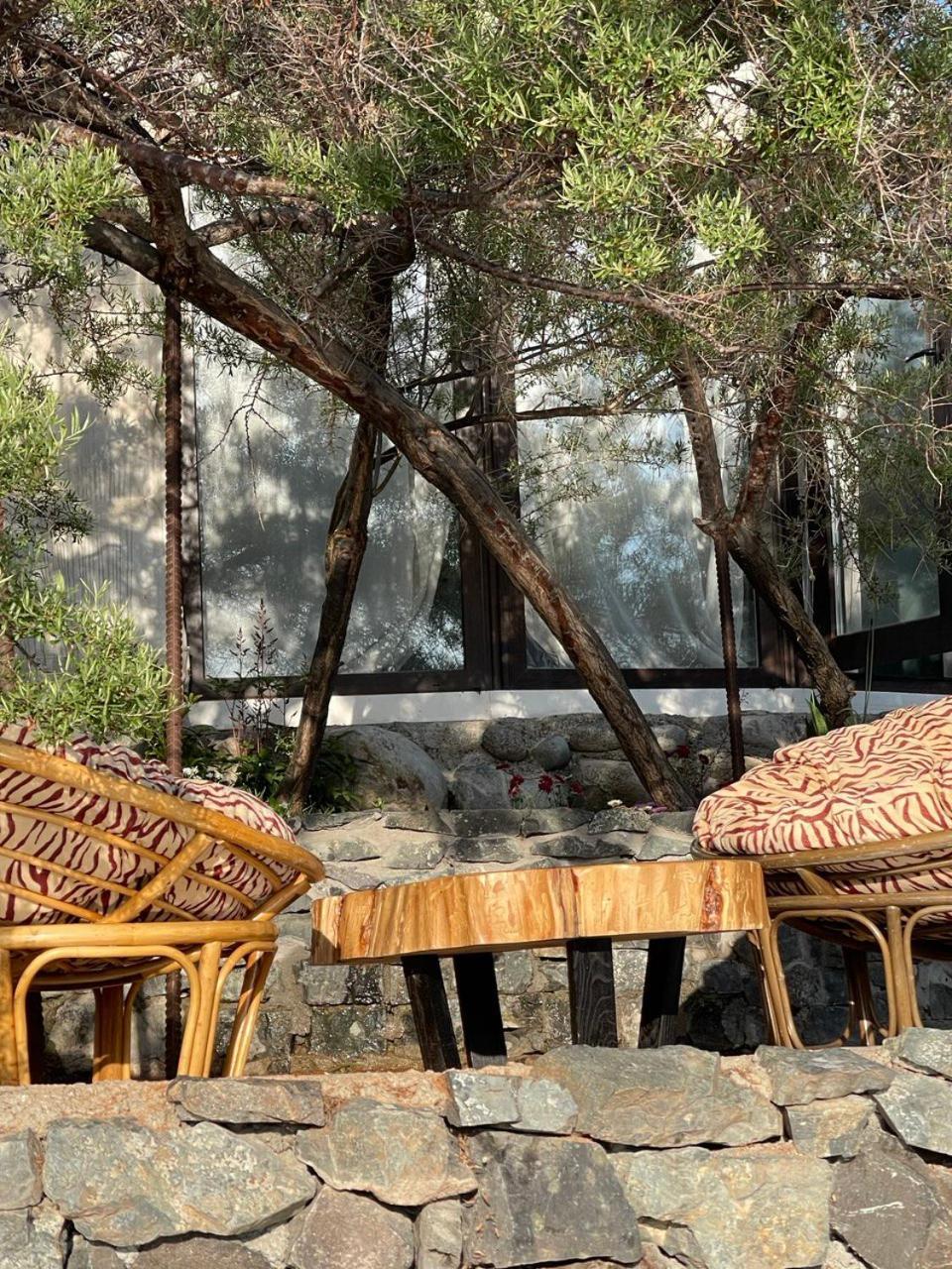 Ak-Tengir Yurt Resort Tossor Exteriér fotografie